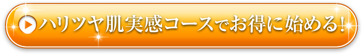 定期お届け便でお得に始める！